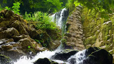 Doğanın Kucaklayıcı Güzellikleri: Bozkurt'ta Keşfe Çıkın!