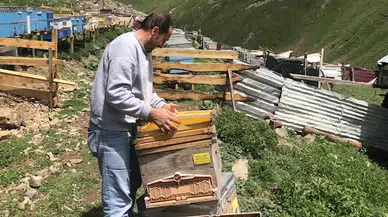 Başköy'de Talat Yılmaz: Doğayla Uyum İçinde Organik Bal Üretimi Yapıyor