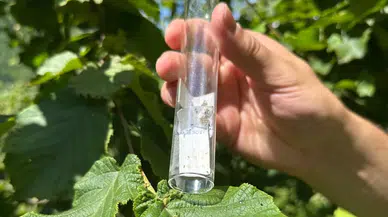 Trabzon'da Samuray Arısı Salımı ile Tarımda Doğa Dostu Mücadele Başlatıldı