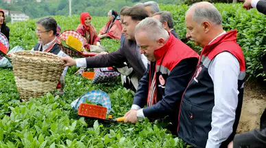AK Parti Rize İl Başkanlığı’ndan Çay Müstahsillerine Destek Çağrısı