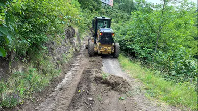 Beşikdüzü'nde Temizlik ve Bakım Çalışmaları İle Yaşam Alanları İyileştiriliyor