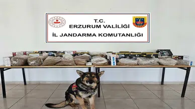 Erzurum'da Kaçakçılığa Darbe: 30 kg Tütün ve 12 Şüpheli Yakalandı