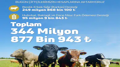 Tarımsal Destek Ödemeleri Hesaplara Yatırılmaya Başlandı!