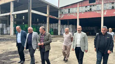 Çaykur Arhavi Fabrikası Taşınıyor: Yeni Alan Kavak Köyü Olarak Belirlendi