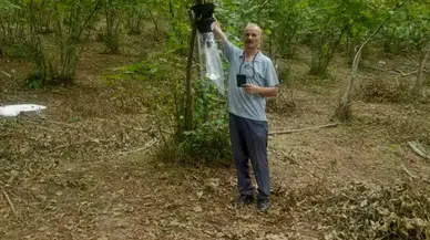 Arsin'de Tarım Arazilerini Koruma İçin Kahverengi Kokarca ile Mücadele Başlatıldı