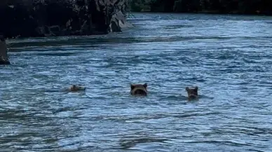 Batman'da gençler dolandırıcılığa kurban gidiyor, hesap kullandırma dosyaları 20 bine ulaştı