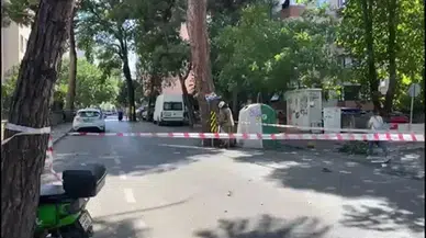Kadıköy'de rüzgarın kopardığı dal tehlike yarattı, itfaiye ekipleri müdahale etti