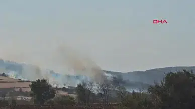 Gelibolu'da Orman Yangınına Hızla Müdahale Ediliyor