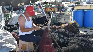 İzmir Balıkçıları, 1 Eylül av sezonu öncesi hazırlık yapıyor; bol hamsi ve sardalya müjdesi!