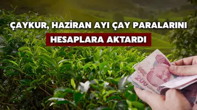 Haziran Ayı Yaş Çay Ödemeleri Hesaplara Yatırıldı
