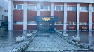 Yuyla Boğulan 7 Yaşındaki Meryem'in Talihsiz Ölümü: Eşek Kazası Trajik Sonuçlandı