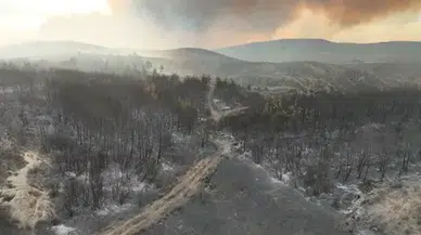Gelibolu'daki Orman Yangını: 5 Köy Tahliye, Müdahale Devam Ediyor