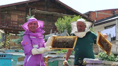 Anzer Balında Rekolte Patlaması: Padişahların Balı Altın Yılını Yaşıyor