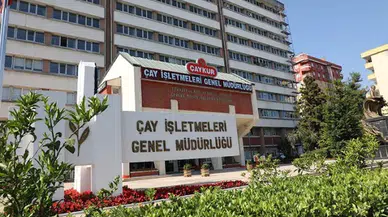 Çaykur, 2025 İkinci Sürgününde Rekor Yaş Çay Alımı Gerçekleştirdi