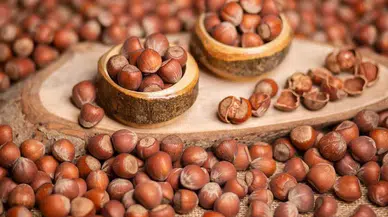 18 Ağustos 2025 Pazartesi Güncel Fındık Fiyatları