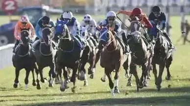 Ankara 13 Eylül 2025 Cumartesi Yarışı Sonuçları!