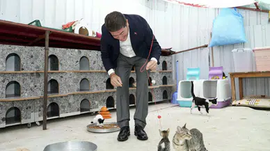 Başkan Kaya’dan ÇEVHAYKO Kedi Yuvası’na Ziyaret