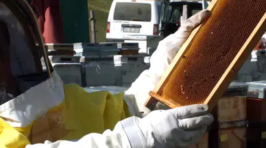 Rizeli Bal Üreticilerinden Önemli Uyarı: Sahte Bala Dikkat, Güvendiğiniz Markalardan Alışveriş Yapın