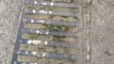 Ardeşen’de Mazgallar Tıkalı, Şiddetli Yağış Uyarısı Yapıldı