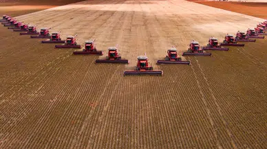 Kiralık Tarla Başvurusu Nereden ve Nasıl Yapılır? 2025 Başvuru Şartları