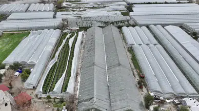 Antalya'da sel felaketi İle Bakan'dan destek açıklaması