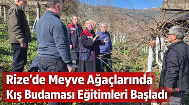Rize İl Tarım ve Orman Müdürlüğü Meyve Ağaçlarında Kış Budaması Eğitimlerine Başladı