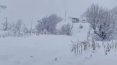 Batman’da kar tatili: Sason ve Kozluk’ta eğitime 1 gün ara