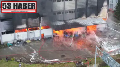 Trabzon'da Fındık Fabrikasında Korkutan Yangın Patlak Verdi!