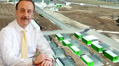 Isparta'da Sokak Hayvanları Yalnız Değil: Sahiplenme Çabaları Artıyor!