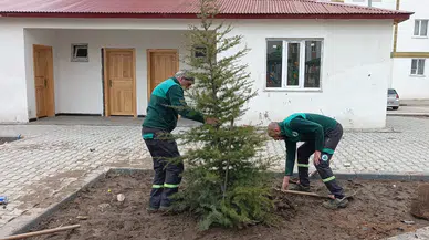 Oltu Belediyesi’nden Ağaçlandırma Hamlesi: 86 Yeni Ağaç Toprakla Buluştu