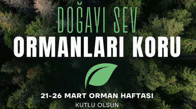 Hopa TSO’dan Dünya Ormancılık Günü Mesajı: Toprağa Bir Fidan, Geleceğe Bir Umut