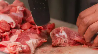 Kamu görevlileri de dahil 30 kişi gözaltında, sağlıksız et skandalında operasyon düzenlendi.