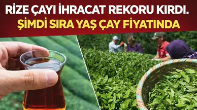 Rize Çayı İhracatta Rekor Kırdı! 3 Ayda 34,8 Milyon Dolar Gelir