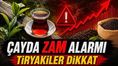 Çay Fiyatları 2026: Yaş Çay Zammı Sonrası Kuru Çay Fiyatları Ne Kadar Oldu?