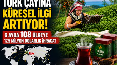 Türk Çayı 108 Ülkeye Ulaştı! İlk 6 Ayda 17,5 Milyon Dolarlık İhracat