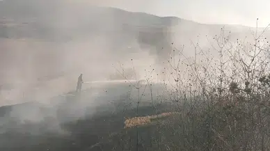 Susurluk'ta Korkutan Arazi Yangını, Ekiplerin Hızlı Müdahalesiyle Kontrol Altına Alındı