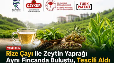 Rize Çayı ile Zeytin Yaprağı Aynı Fincanda Buluştu: Yeni Fonksiyonel Çay Tescillendi