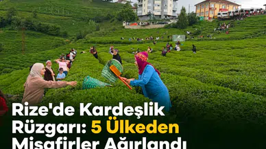 Rize’de Kardeşlik Rüzgârı: 5 Ülkeden Gelen Gençler Çay Topladı