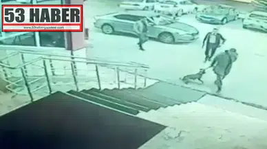 Kaymakamın köpeğe tekme attığı iddialarına soruşturma açıldı!