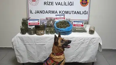 Rize’de Jandarmadan Uyuşturucu Operasyonu: 2,4 Kilo Kubar Esrar Ele Geçirildi