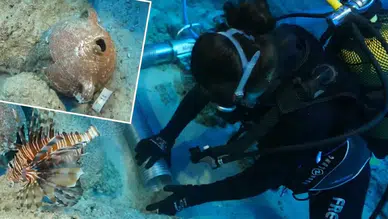 Akdeniz'den 4 bin yıllık tarih çıktı! Dünyanın en eski batığı Kekova'da bulundu