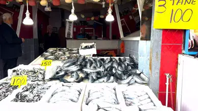 Doğu Karadeniz'de 20 yılın rekor palamut bereketi