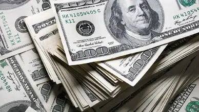 Dolar/TL 49,34 seviyesine yükseldi