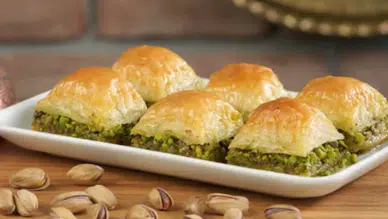 FETÖ soruşturmasında el konulan işletme 223 milyon TL'ye satışa çıkıyor