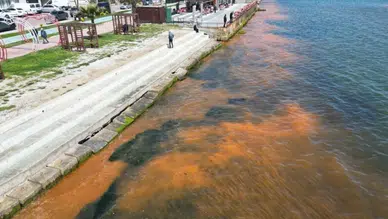 Tekirdağ'da Deniz Su Renk Değiştirdi: Alg Patlaması Gözlemlendi