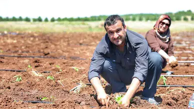 Kayapınar’da 20 dönümlük tarım komününde ekim başladı