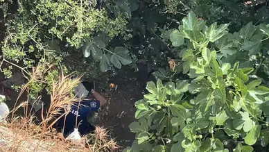 Bursa'da filmleri aratmayan olay: 10 metreden düştü, yardımına gelen polisten kaçtı