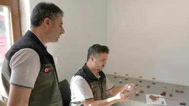 Artvin Orman Bölge Müdürü Gürsoy, Şavşat'ta Ormancılık Faaliyetlerini Yerinde İnceledi