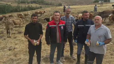 Aydıntepe’de Yetiştiricilere Yonca Zehirlenmesi Uyarısı