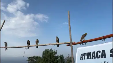 Fındıklı’da Atmacalar Doğaya Bırakıldı